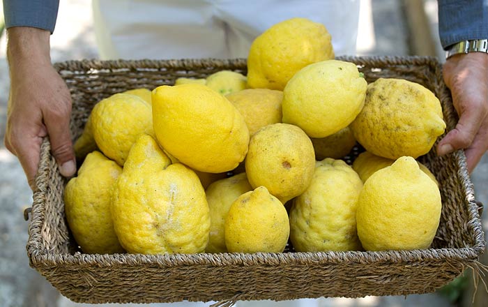 Limoni di Capri - Casa Mariantonia