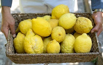 Limoni di Capri - Casa Mariantonia